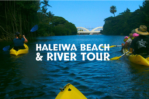 Kayaking in Oahu: Haleiwa Beach