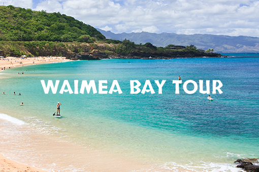Kayak Tour Waimea Bay