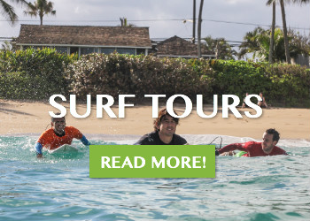 Surf Tours in Oahu