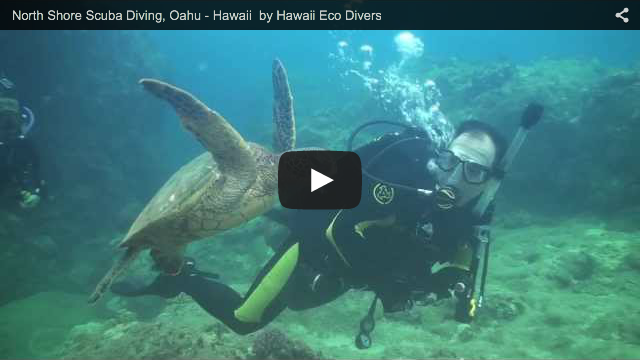 North Shore Scuba Diving, Oahu – Hawaii by Hawaii Eco Divers