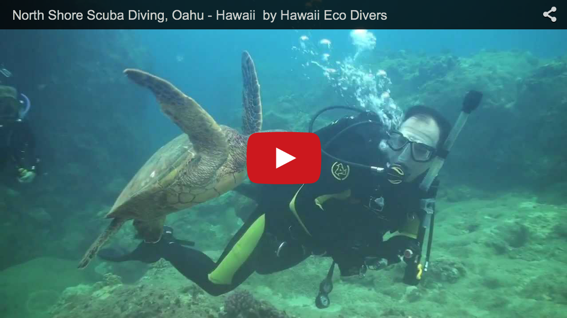 North Shore Scuba Diving, Oahu