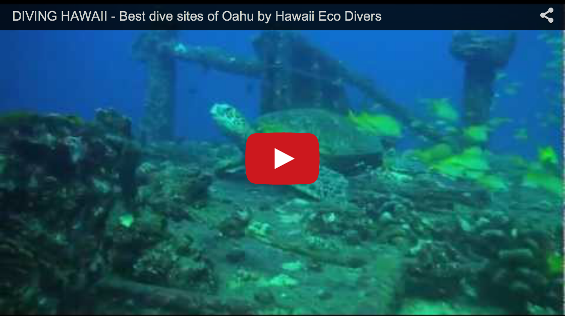 Best dive sites of Oahu