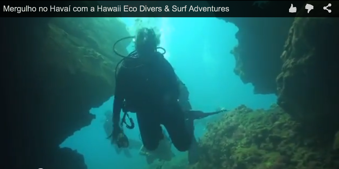 Mergulho no Havaí com a Hawaii Eco Divers & Surf Adventures