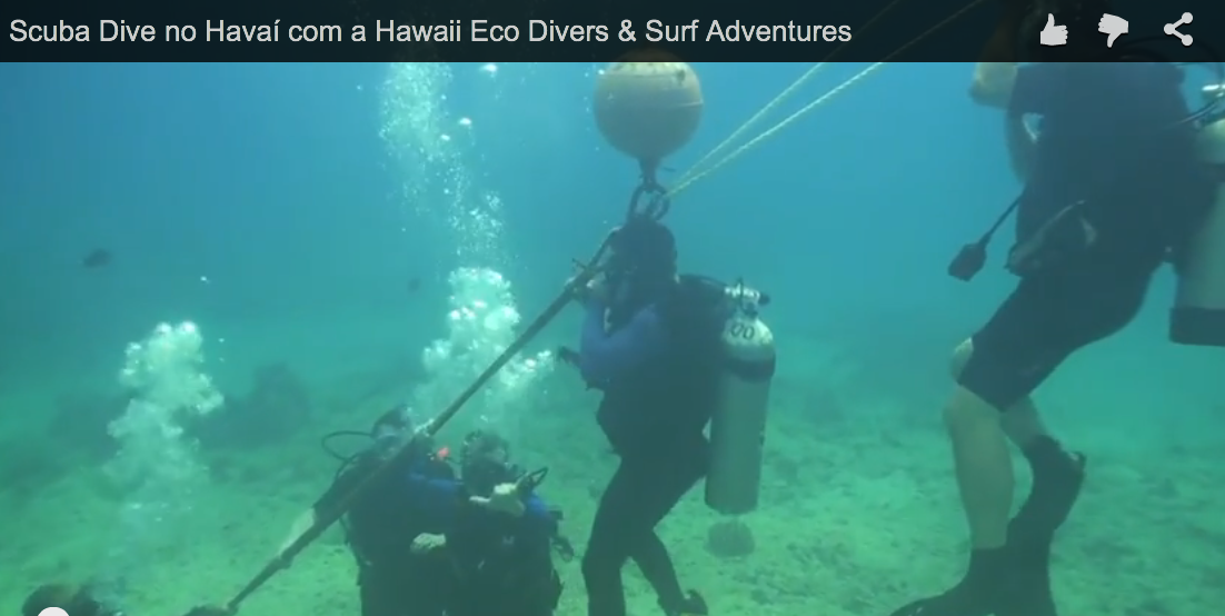 Scuba Dive no Havaí