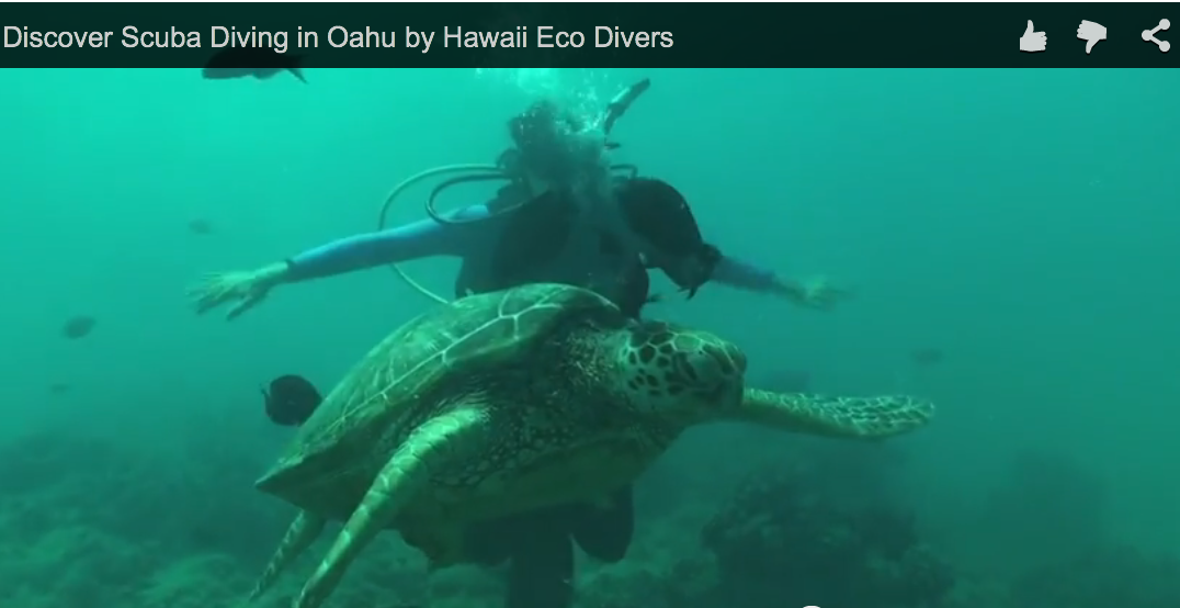 Discover Scuba Diving in Oahu by Hawaii Eco Divers