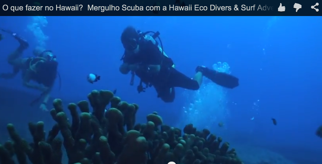 O que fazer no Hawaii? Mergulho Scuba com a Hawaii Eco Divers