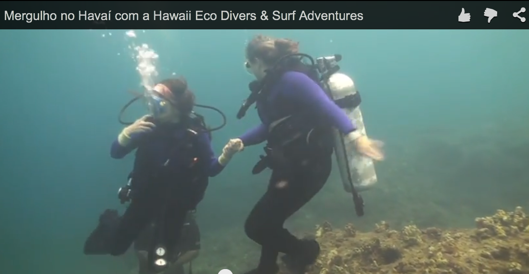 Mergulho no Havaí com a Hawaii Eco Divers