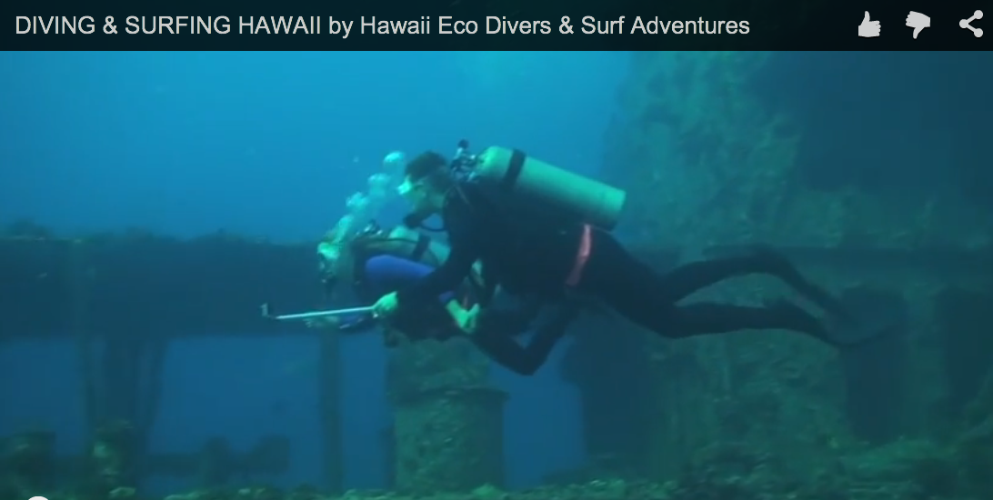 DIVING & SURFING HAWAII