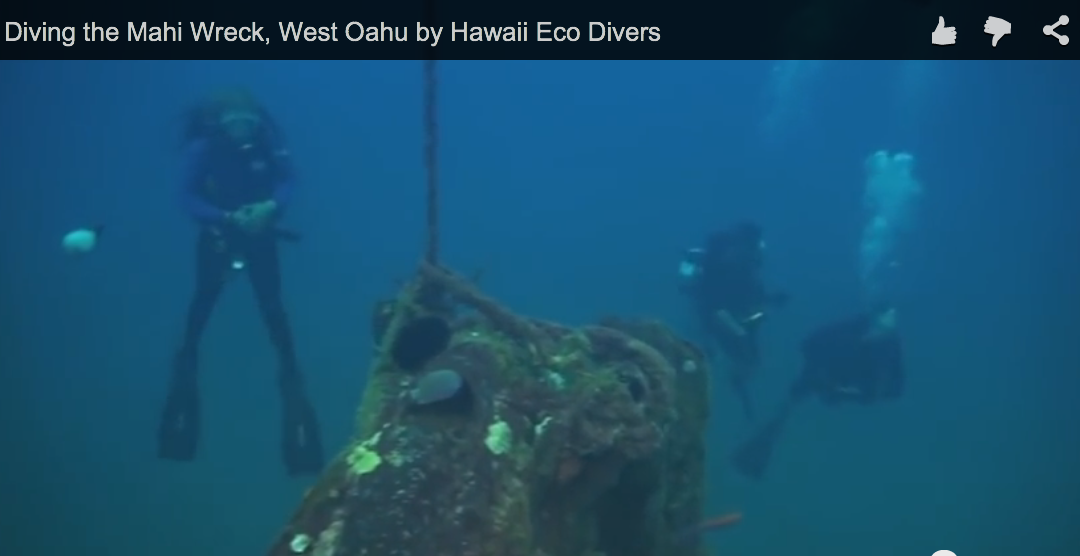 Diving the Mahi Wreck, West Oahu