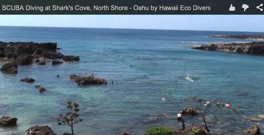 SCUBA Diving at Shark’s Cove, North Shore – Oahu