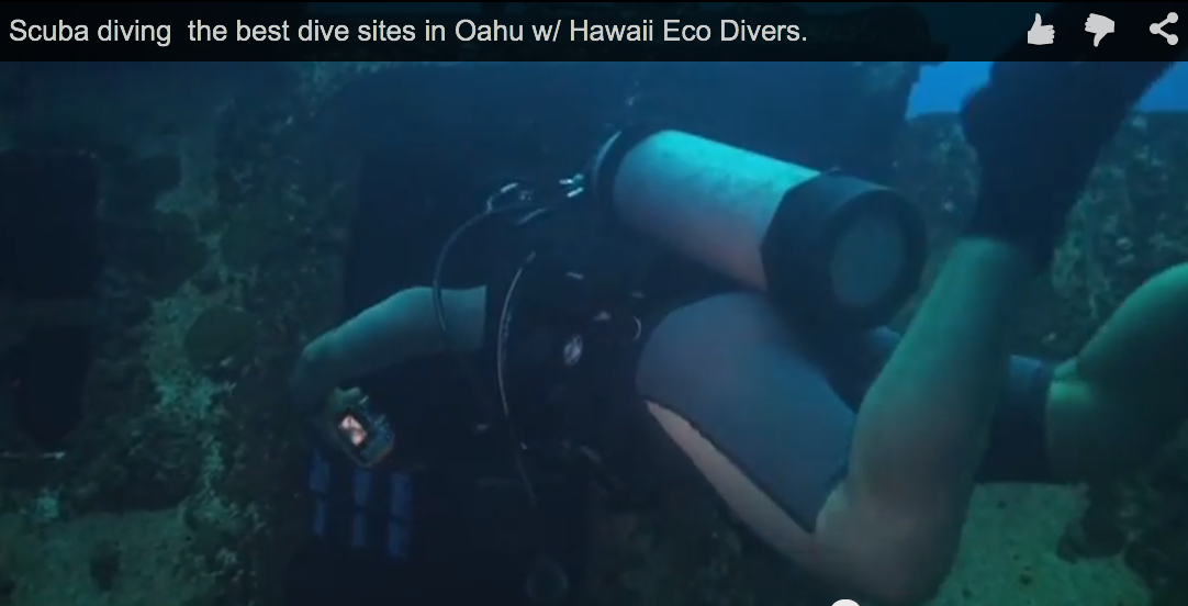 Scuba diving the best dive sites in Oahu