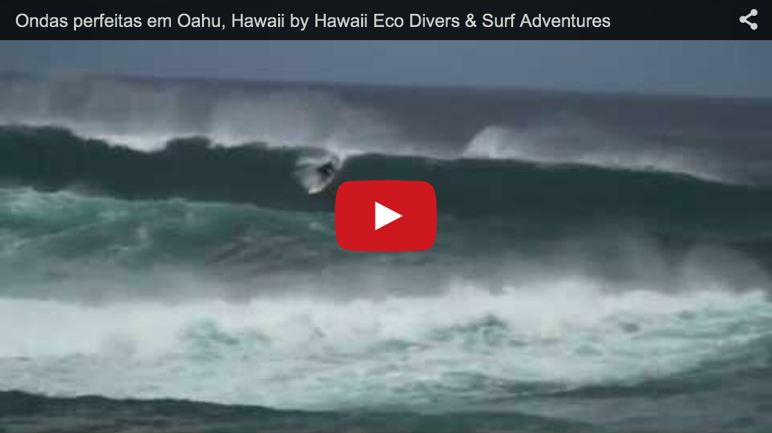 Ondas perfeitas em Oahu, Hawaii by Hawaii Eco Divers & Surf Adventures