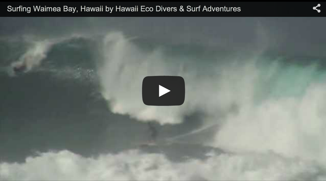 Surfing Waimea Bay, Hawaii by Hawaii Eco Divers & Surf Adventures