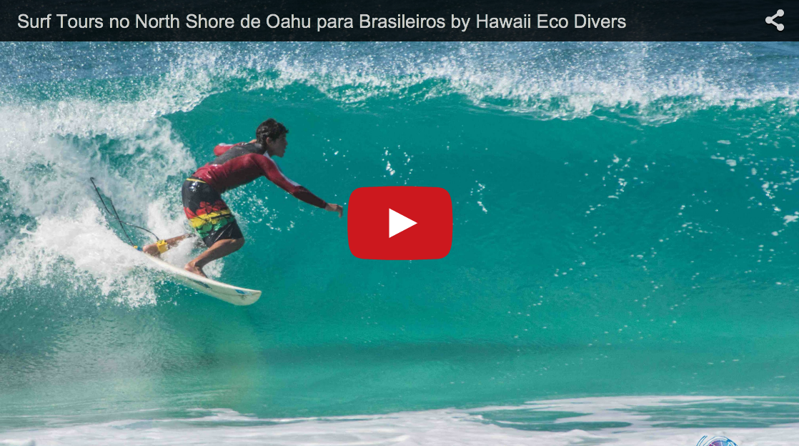 Surf Tours no North Shore de Oahu para Brasileiros