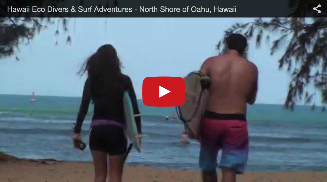 Surfing on the North Shore of Oahu