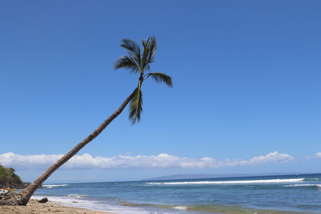 Maui: a melhor ilha do mundo
