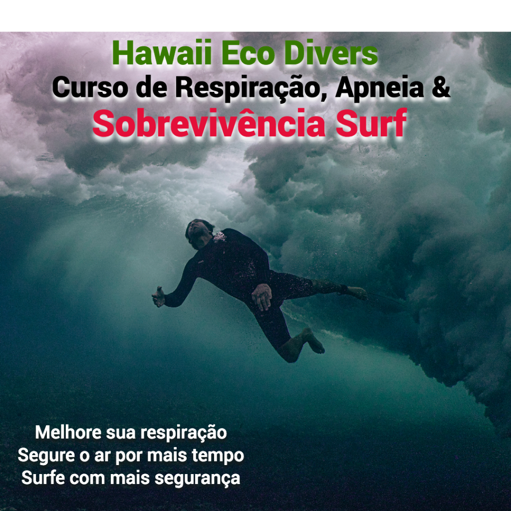 O Curso de Respiração, Apneia e Sobrevivência Surf volta ao Brasil em Outubro de 2024